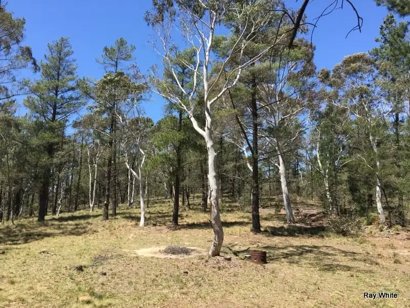 Main view of Homely rural property listing, 160 Nerriga Road, Braidwood NSW 2622