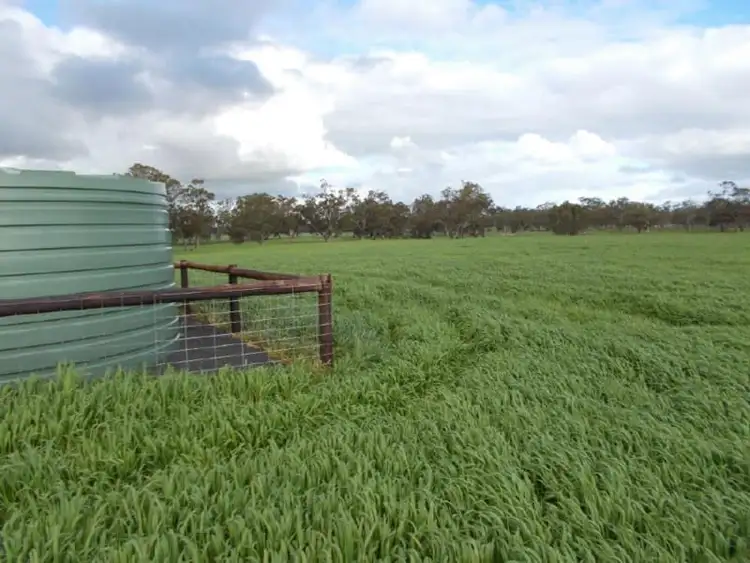 Second view of Homely rural property listing, 433 Golf Course Road, Bordertown SA 5268