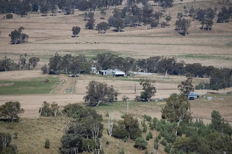 Main view of Homely rural property listing, 244 Sheep Station Creek Road, Bingara NSW 2404