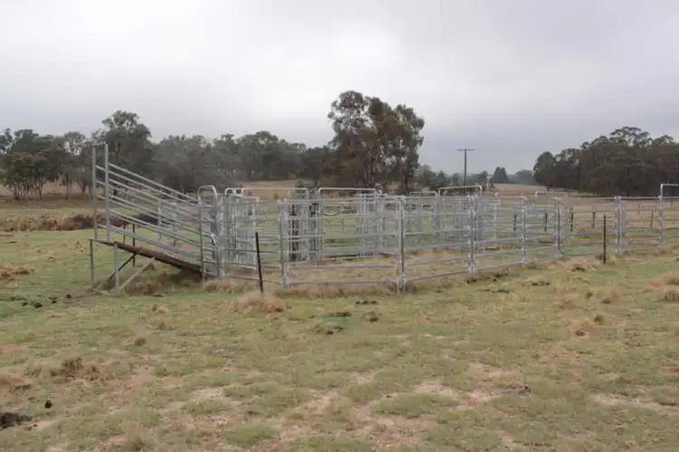 Second view of Homely rural property listing, 215 Mount Spirabo Road, Tenterfield NSW 2372