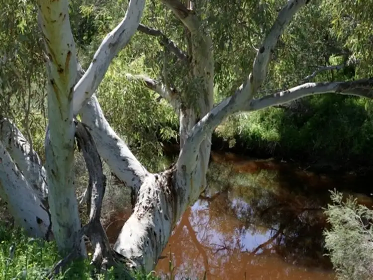 Seventh view of Homely land listing, 307 Dorset Drive, Deepdale WA 6532