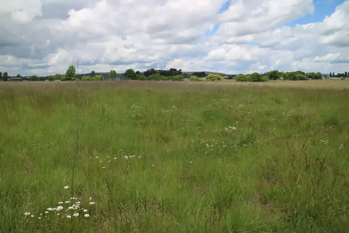 Third view of Homely rural property listing, 538A Grey, Glen Innes NSW 2370