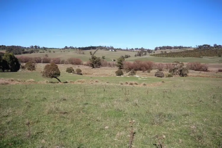 Fifth view of Homely rural property listing, 212 Beattie Road, Oberon NSW 2787