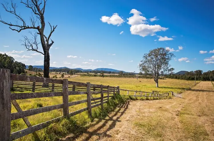 Second view of Homely rural property listing, 1292 Wang Wauk Road, Nabiac NSW 2312