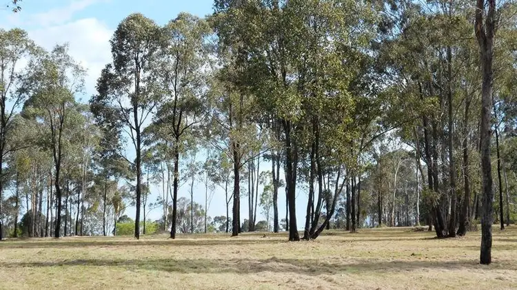 Seventh view of Homely rural property listing, Address available on request