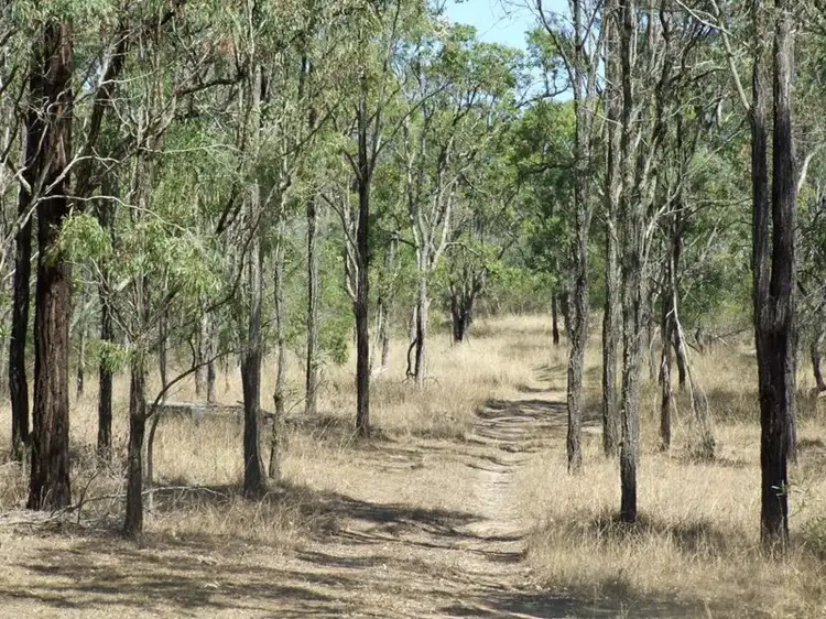 Seventh view of Homely rural property listing, 137 Cooyar-Rangemore Road, Cooyar QLD 4402
