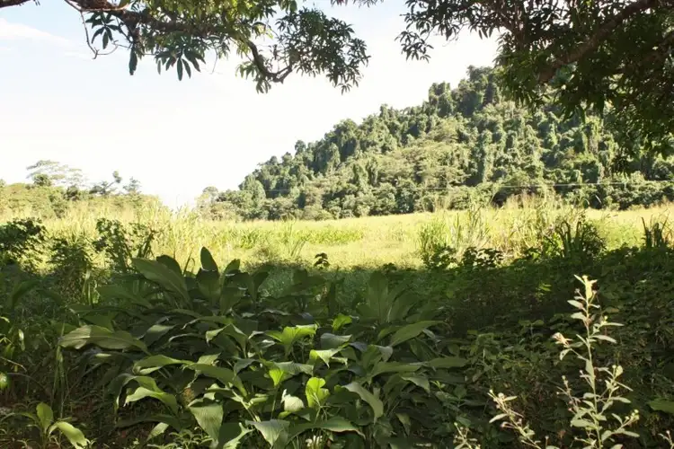 Fourth view of Homely rural property listing, Lot 1 Bruce Highway, Bellenden Ker QLD 4871