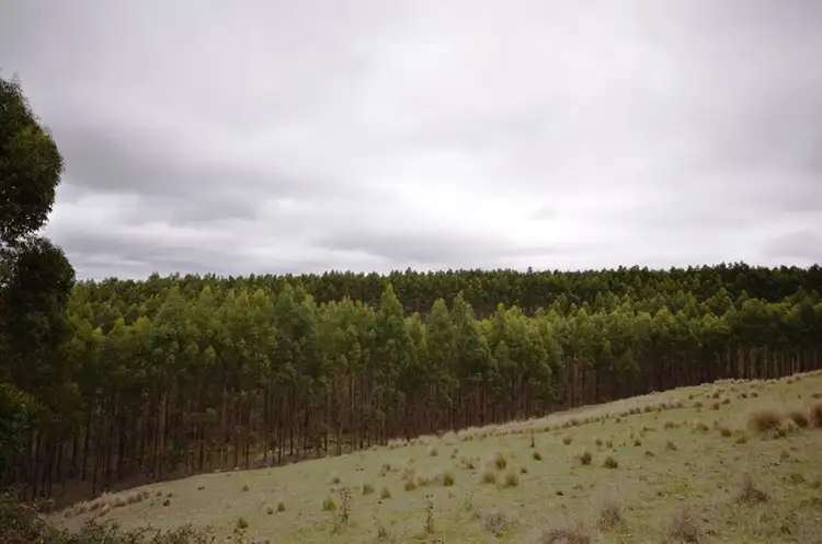 Third view of Homely land listing, CA 86B Corries Lane, Bungal VIC 3334
