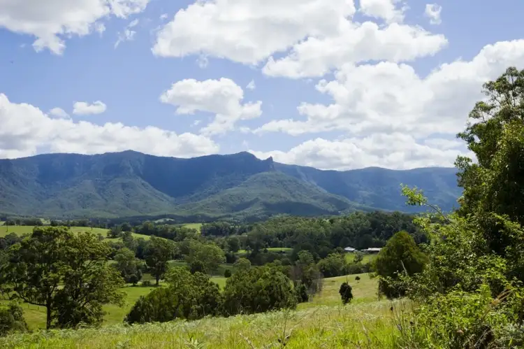 Fifth view of Homely rural property listing, 1475 Byrrill Creek Road, Tyalgum NSW 2484