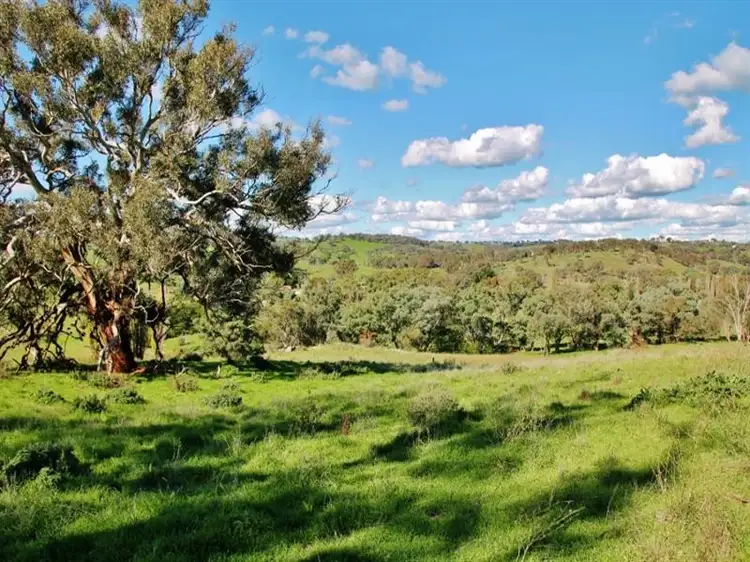 Fifth view of Homely land listing, 132 Dowling Drive Murringo, via, Young NSW 2594