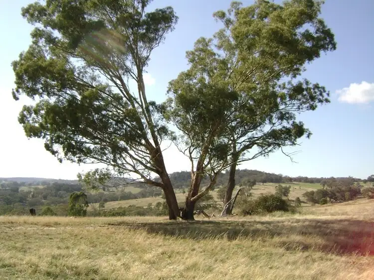 Second view of Homely rural property listing, Lot 11 324 Horton Drive, Woodstock NSW 2793