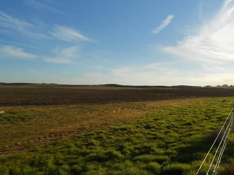 Sixth view of Homely rural property listing, 101 Mayr Road, Lameroo SA 5302