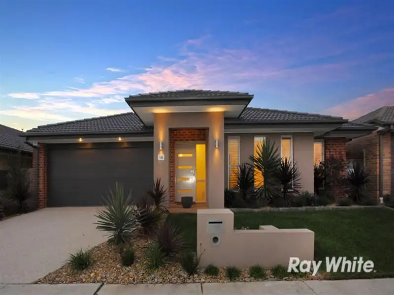Main view of Homely house listing, 16 Hermes Avenue, Cranbourne West VIC 3977