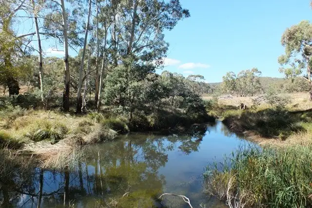 Fourth view of Homely rural property listing, 209 Soliders Hill Road, Wisemans Creek NSW 2795