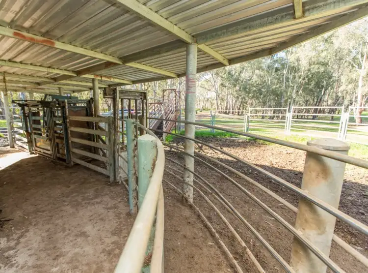 Fifth view of Homely rural property listing, 678 Old Narrandera Road, Narrandera NSW 2700