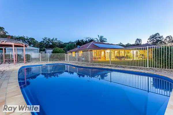 Main view of Homely house listing, 19 Hinchinbrook Court, Burpengary QLD 4505