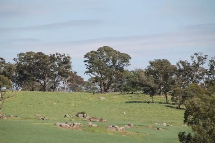 Lot 1 Tanah Merah Road, Wombat NSW 2587