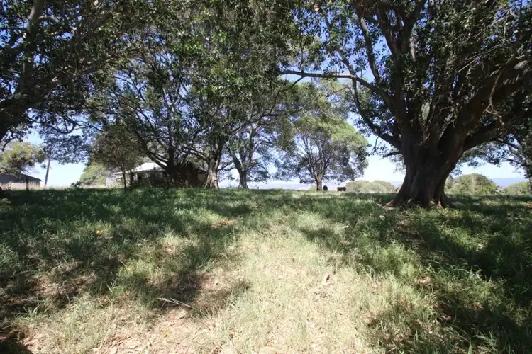 Fourth view of Homely rural property listing, Address available on request