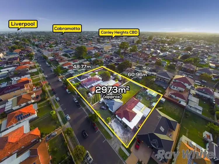 Main view of Homely house listing, 29 Ascot Street, Canley Heights NSW 2166