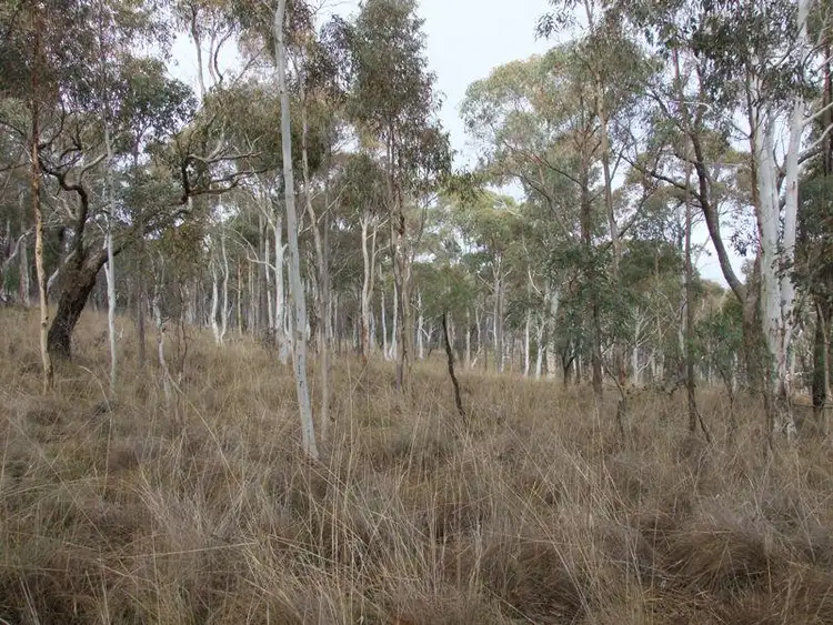 Third view of Homely rural property listing, 1594 O'Connell Road, O'connell NSW 2795