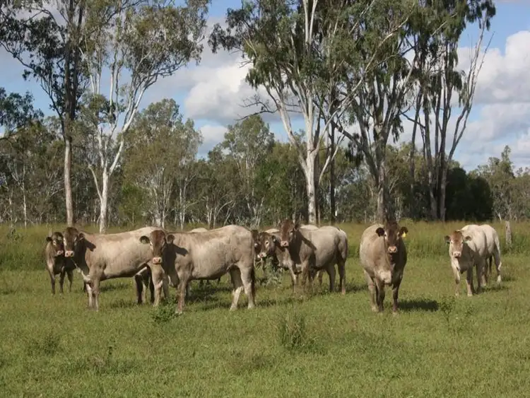 Third view of Homely rural property listing, "Tranquility" Netz Road, Monto QLD 4630