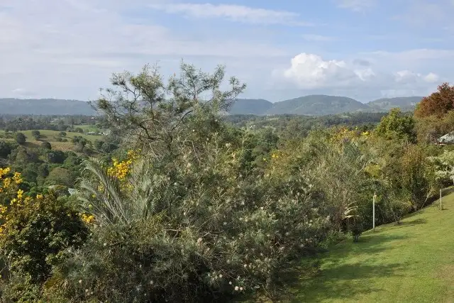Main view of Homely house listing, 106 Woodward Road, Armstrong Creek QLD 4520