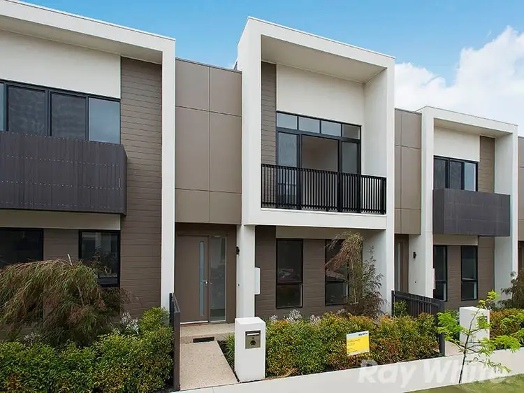 8 Mulberry Avenue, Cheltenham VIC 3192