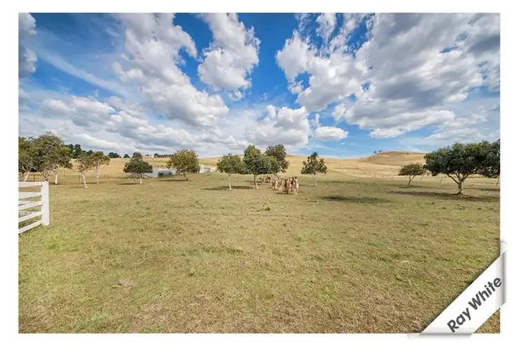 Third view of Homely land listing, 312 Micalago Road, Michelago NSW 2620