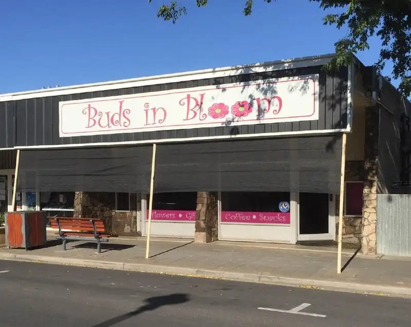 Main view of Homely house listing, 96 Woolshed Street, Bordertown SA 5268