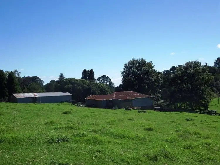 Second view of Homely rural property listing, 5287 Waterfall Way, Dorrigo NSW 2453
