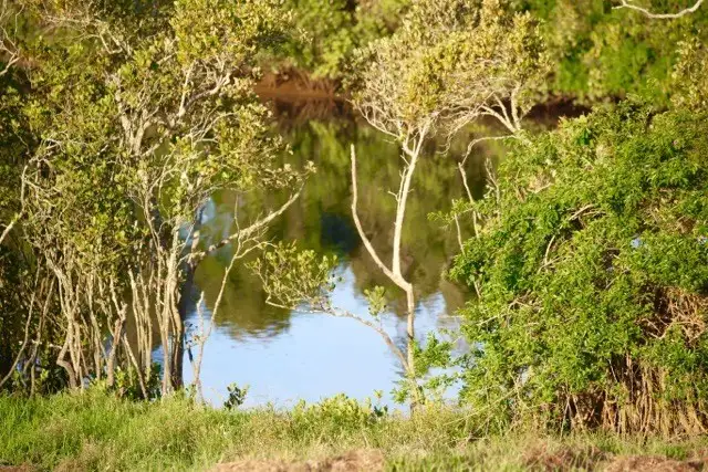 Second view of Homely land listing, 89 Newby Road, Pampoolah NSW 2430