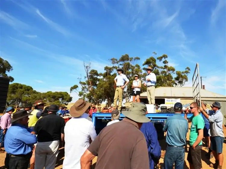 Clearing Sale Wirreanda Road, Snowtown SA 5520