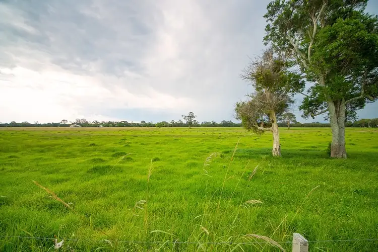 Second view of Homely rural property listing, "Univale"17839 Pacific Highway, Jones Island NSW 2430