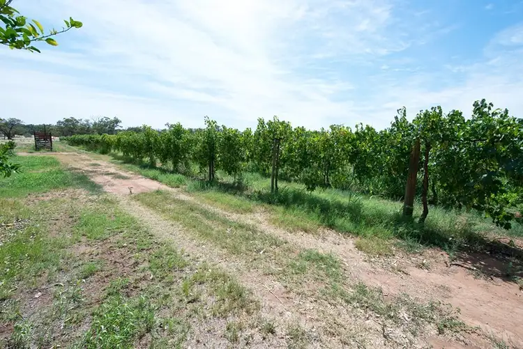 Fifth view of Homely rural property listing, 19 McLean Lane, Vinifera VIC 3591