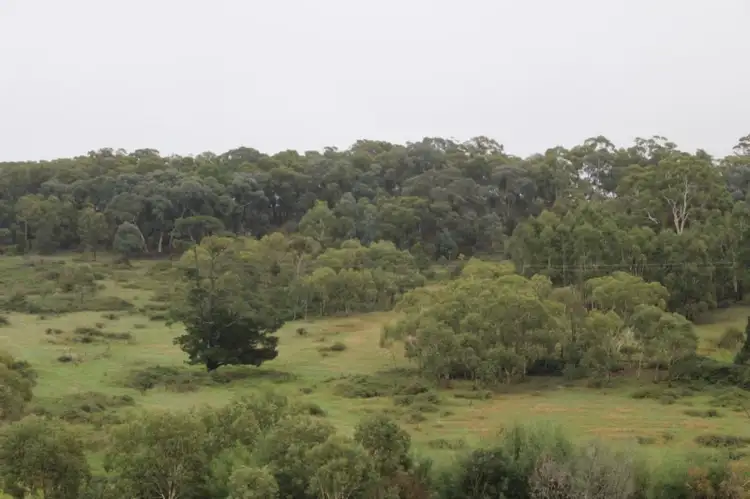 Fifth view of Homely rural property listing, Lot 2 Charles Street, Rydal NSW 2790