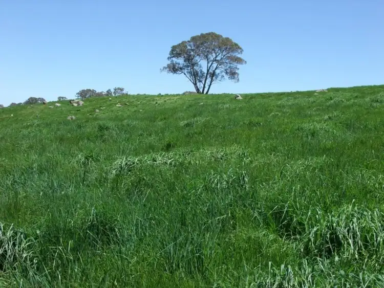 Fifth view of Homely rural property listing, Address available on request