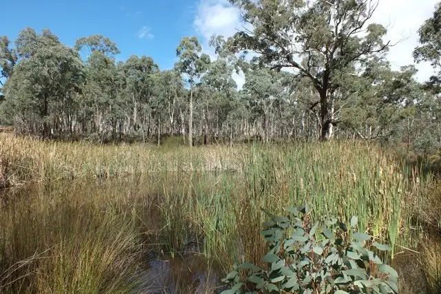Seventh view of Homely rural property listing, 209 Soliders Hill Road, Wisemans Creek NSW 2795