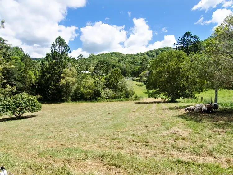 Sixth view of Homely house listing, 744 Currumbin Creek Road, Currumbin Valley QLD 4223