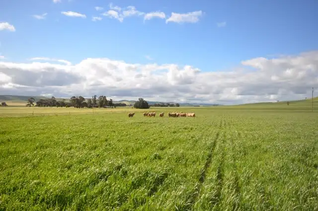 Second view of Homely land listing, Lot 644 Penshurst Road, Booborowie SA 5417