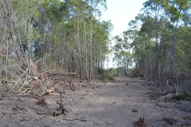 Seventh view of Homely land listing, Lot 31 Tanby Post Office Road, Bondoola QLD 4703