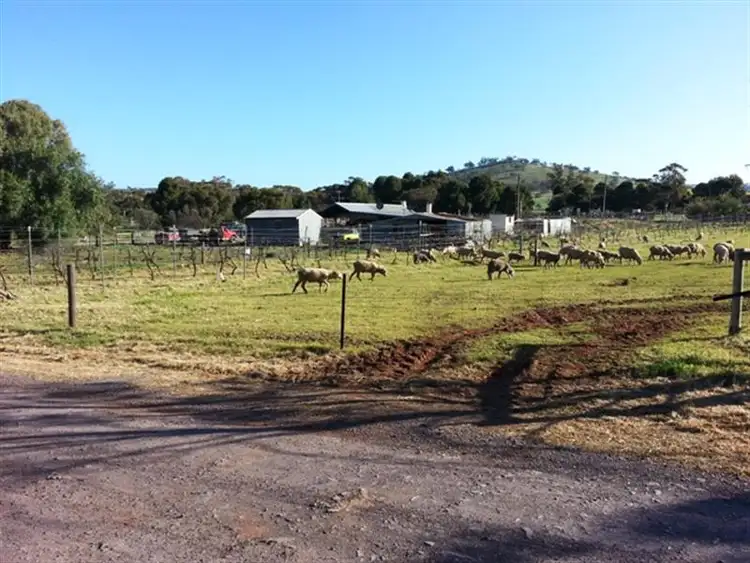 Seventh view of Homely house listing, Number5, Lot 9 Sherman Street, Wilmington SA 5485