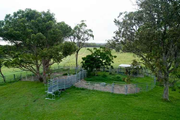 Fourth view of Homely rural property listing, 310 Timbarra Road, Tenterfield NSW 2372