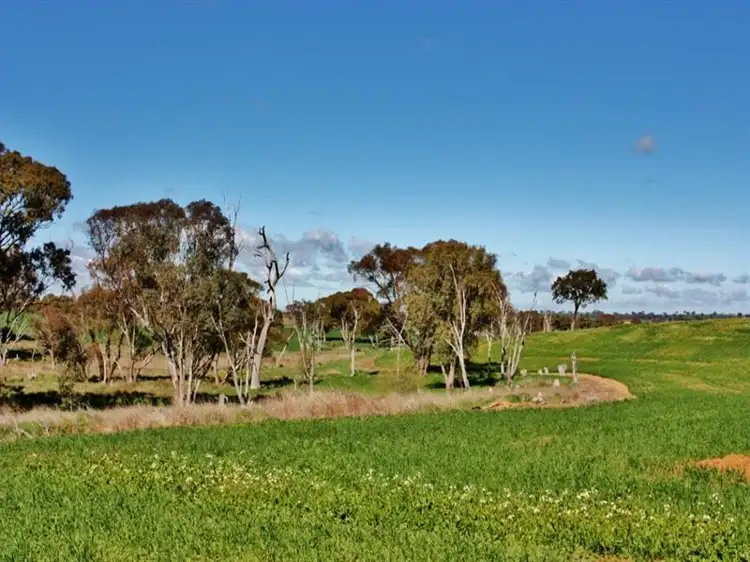 Seventh view of Homely land listing, Lot 94 Boundary Road, Young NSW 2594