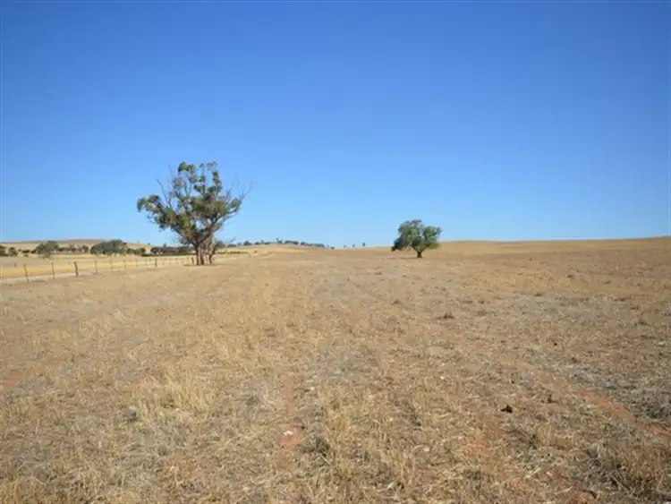 Fourth view of Homely rural property listing, "Clark Park" Clark Road, Pekina SA 5431