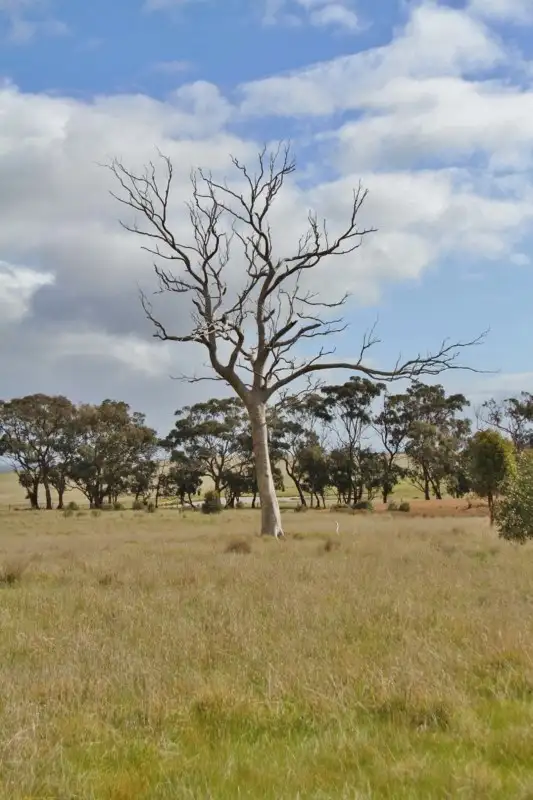 Sixth view of Homely land listing, Lot 8 Tuscan Court, Heathcote VIC 3523