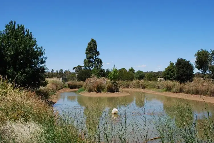 Seventh view of Homely rural property listing, 43 Peppernell Road, Wharparilla VIC 3564