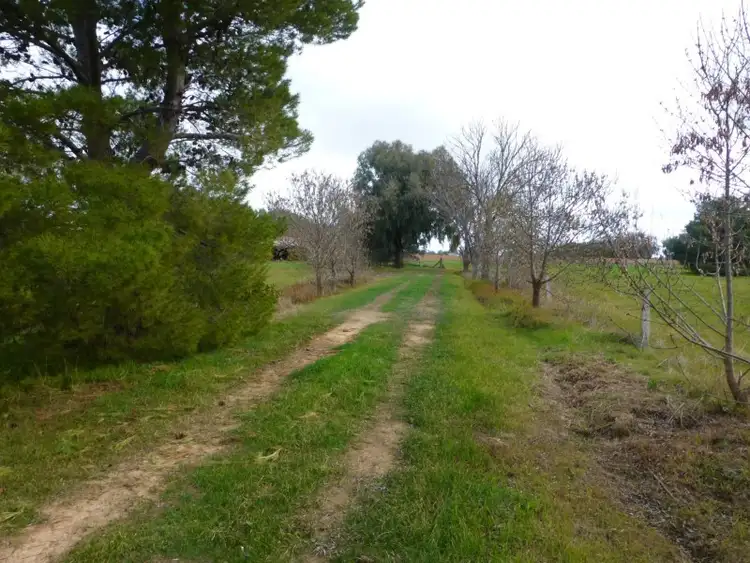 Sixth view of Homely rural property listing, 139 Torrumbarry Weir Road, Torrumbarry VIC 3562