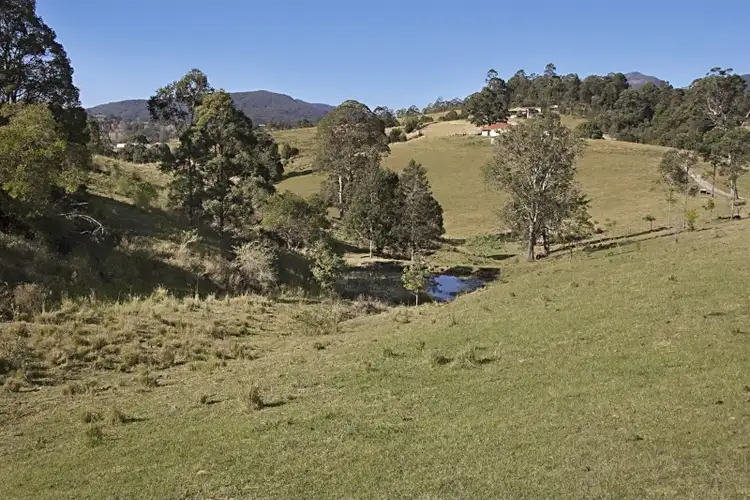 Seventh view of Homely rural property listing, 47 Possumwood Close, Tyalgum NSW 2484