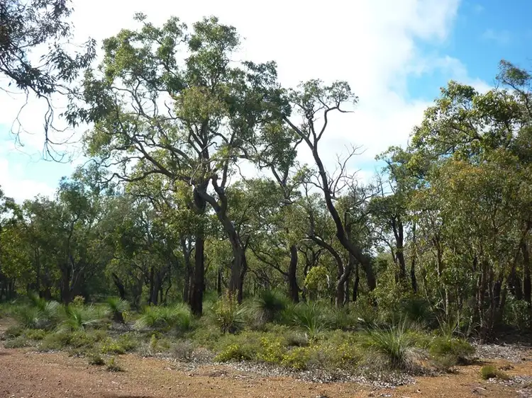 Lot 35 Patersonia Road, Chittering WA 6084