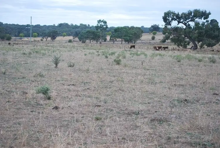 Third view of Homely rural property listing, Address available on request